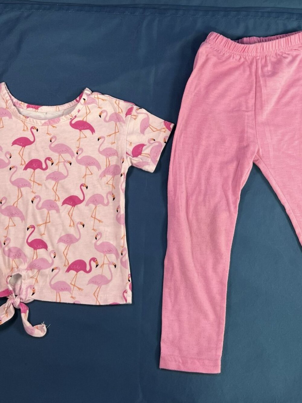 The Children's Place Girls Pink Flamingo Set Size 2